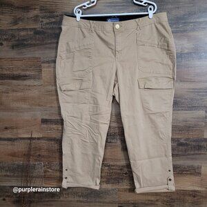 Democracy Ab Solution Cargo Jeans Size 22 W High Rise Tab Leg Beige Clay